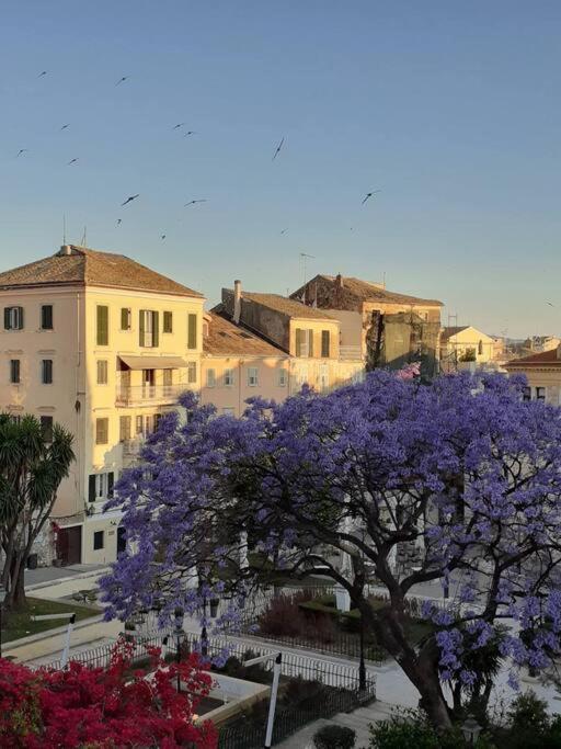 Appartamento Old Town Corfu Romantic Studio Manto Nymfes Esterno foto