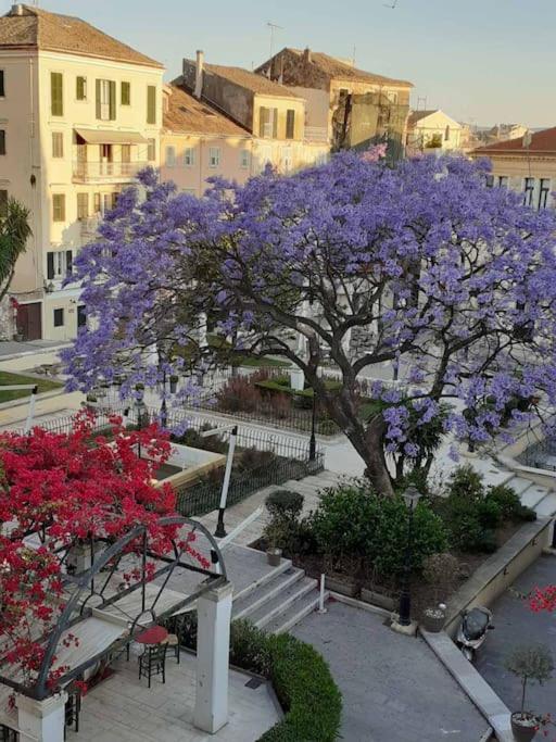 Appartamento Old Town Corfu Romantic Studio Manto Nymfes Esterno foto