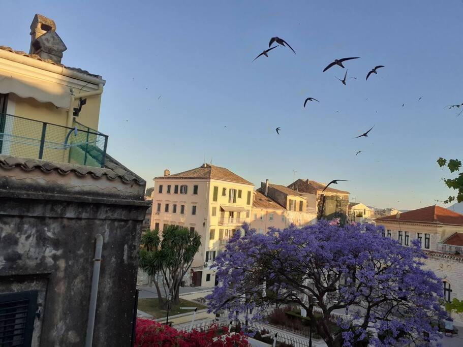Appartamento Old Town Corfu Romantic Studio Manto Nymfes Esterno foto